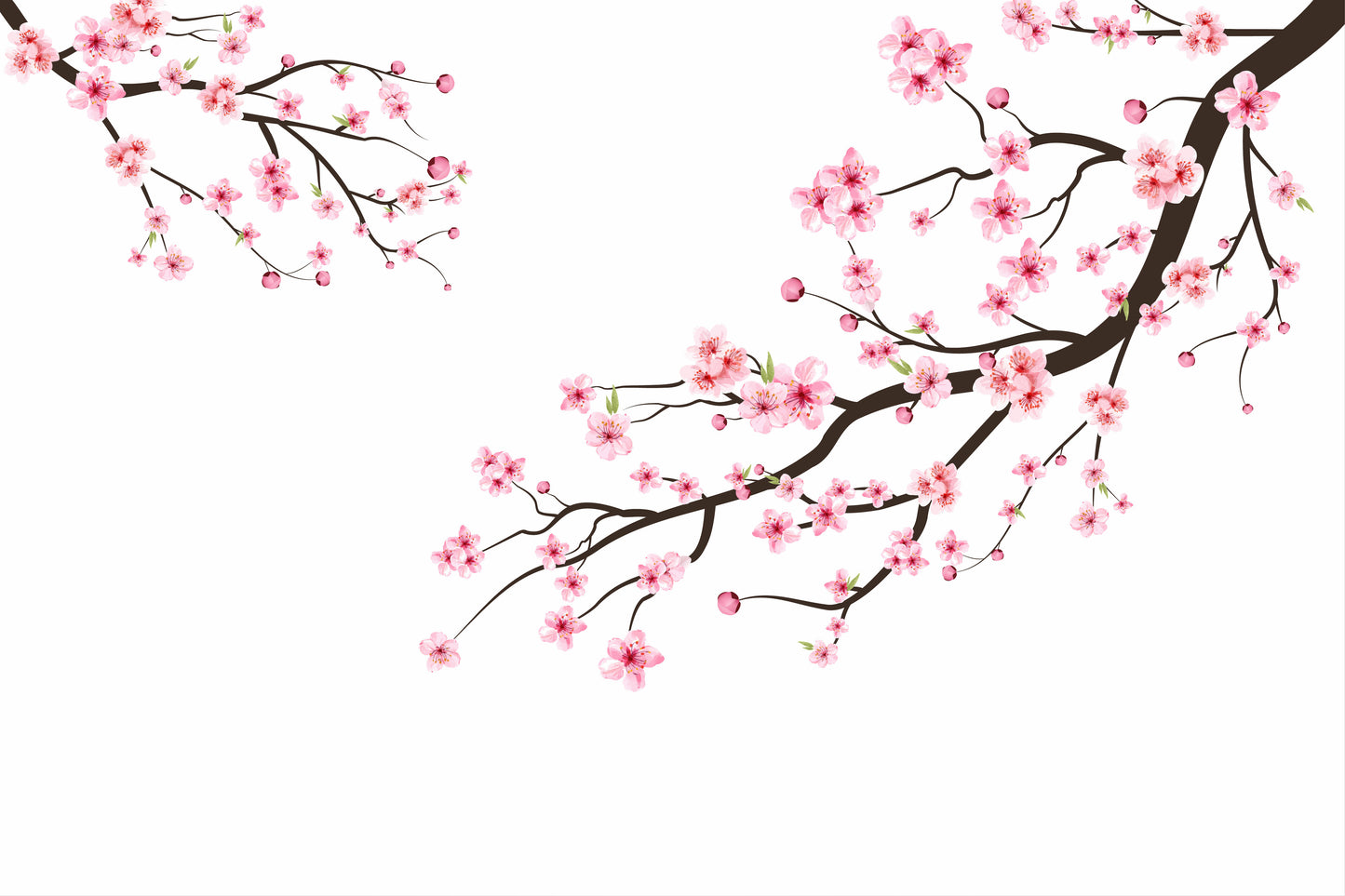 ADDON SAKURA